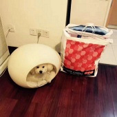 180��������ѰŮ��