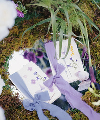 �������ѵ���ɫϵ�����ƺ���񣡳���������