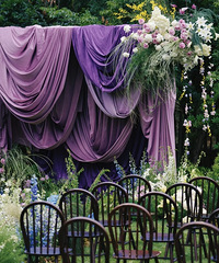 �������ѵ���ɫϵ�����ƺ���񣡳���������