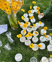 ��һ����������Ĳ�ɫ���ݻ���� ����ɫ�Ĳ�ƺ����ĺ�����