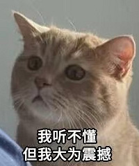 惊呆!大龄未婚优质男的择偶要求居然和女生颜值有关系?