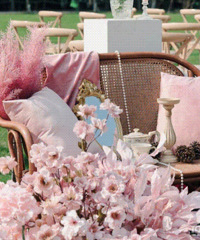 �����Ȫ�Ĳ�ƺ���� ��ı������ˣ�