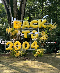 ����װ�õĻ���ӭ���ܳ��� ����һ�����������õĻ�ɫ