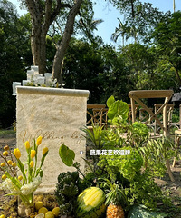 ����װ�õĻ���ӭ���ܳ��� ����һ�����������õĻ�ɫ