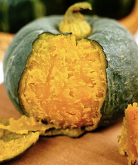 [�����Ƽ�]�������ֱ����ı����Ϲ� ������Ŵ