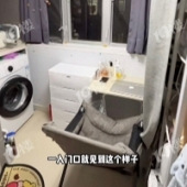 �����ǧ/�µķ��ӣ�