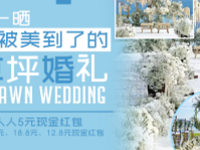 ɹ��ƺ���� ֱ�����ֽ������