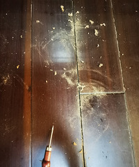 木地板是真的会长虫吗?啊!想想都恶心...