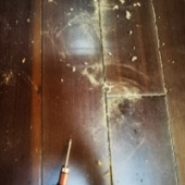 ľ�ذ���Ļ᳤����