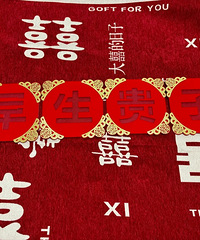 ������۵��������Ӱڼ� ���ճ�Ƭ