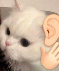 活着和生活的区别到底在哪里?