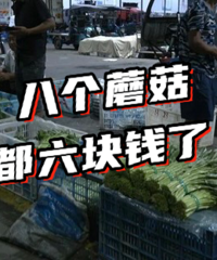 �����˵��߲�����ɶʱ�������