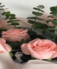 ��ʦ�����Ǽ�ί���ж�����