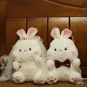 ���ɰ���ѹ������