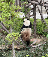 ����˯���� �������������Ǽҵ��޶�����˯�ģ�