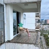 Ħ�ɹ�����...