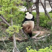 ����˯������������