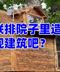 ���Լ�����Ժ������������Υ����