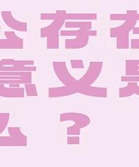 �Ϲ����ڵ�������ʲô