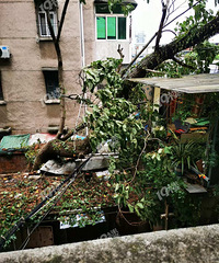 ����ı��̼��е��Ͱ�������������ѹ�����ˡ���Σ�գ�