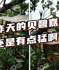 ���������� ѹ�����ˣ�