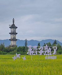 ɽ̫౦عŴ ȥչŴһҪȥɽ