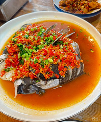 ���˲���С���������ζ�������ͷ���� ��������һ�꣡