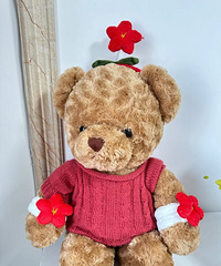 �����ֳ������������������������С�컨������ʵ�ã�