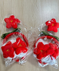 �����ֳ������������������������С�컨������ʵ�ã�