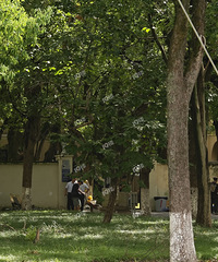 �����޵�Ժ������Ƭ�������е��С����Ϣ˵��ٳҲ���ˣ�