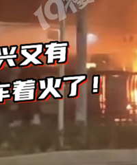 ������ͣ��������ʱ�򡭡�