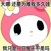 ����װ���·������...