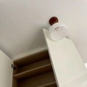 һ�������춼���ˣ�