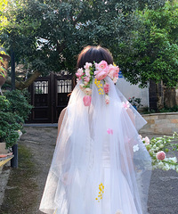 ͷɴ���ǻ�ɴ����� �����İ͵�ͷɴ�ϼ�