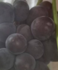 94��������ѰŮ��! �����ȶ������ദ