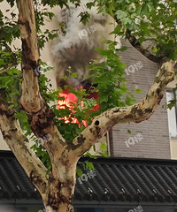 ͻ����һ����÷��ֺ���·����Ż��ˣ��������ͣ�