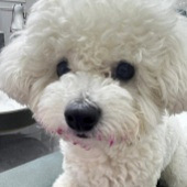 93��GG������Ů��