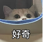 你的对象抽烟喝酒介意嘛?想知道女孩子们都怎么看待这件事