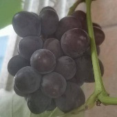 94��������ѰŮ�ѣ�