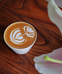 ̫�����˰ɣ�������������ͺ�����Ĳ��ǵ���������