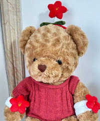 �����ֳ������������������������С�컨