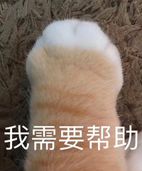 要收房了准备考虑装修的事情,是全屋定制还是请木工打柜子?