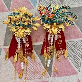 ���������ػ�̫�ع���