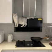 ������è�Ĳ�����װ