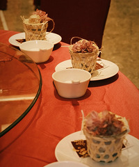 ����ѡ�������Լ���ϲ������ Ҳ������ѡ�˺ܾõ��ǹ�