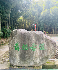 С����3���� ���ܹŵ�ͽ�� һ·�ϵ�ֲ�������