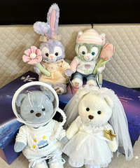 �������ܽ��� ѹ�����ޡ��豭�;���ѡ��Ҫ��Ԣ��