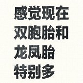 ����˫��̥�ر��