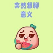 ������ӵ�������ʲô