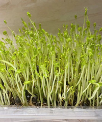 ��Ӧ�ò������һ��֪�������̵��۶����ǿ����ٳ������İɣ�